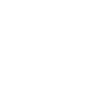 Logo Footer