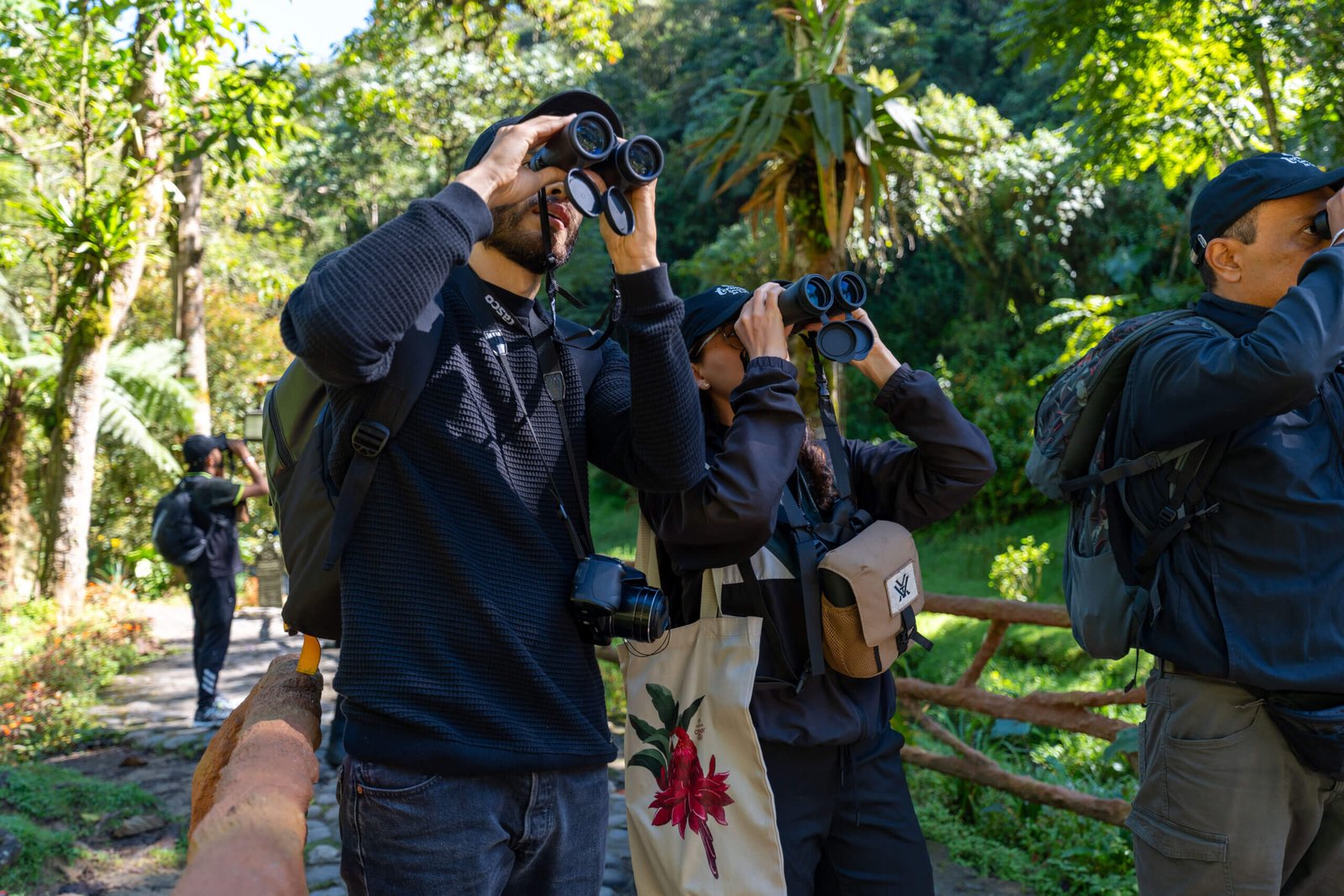 Avistamiento de aves: la experiencia de bienestar para tus vacaciones en el Eje Cafetero